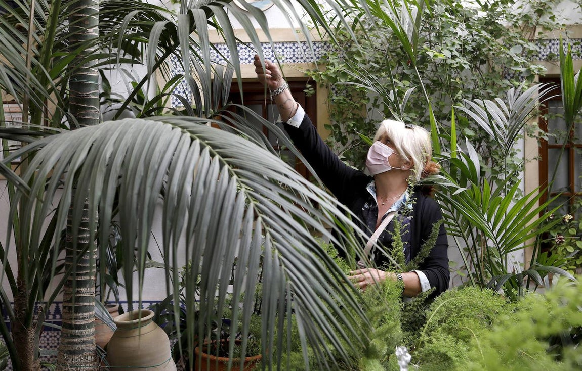 Los Patios de la Judería y San Francisco de Córdoba, en imágenes