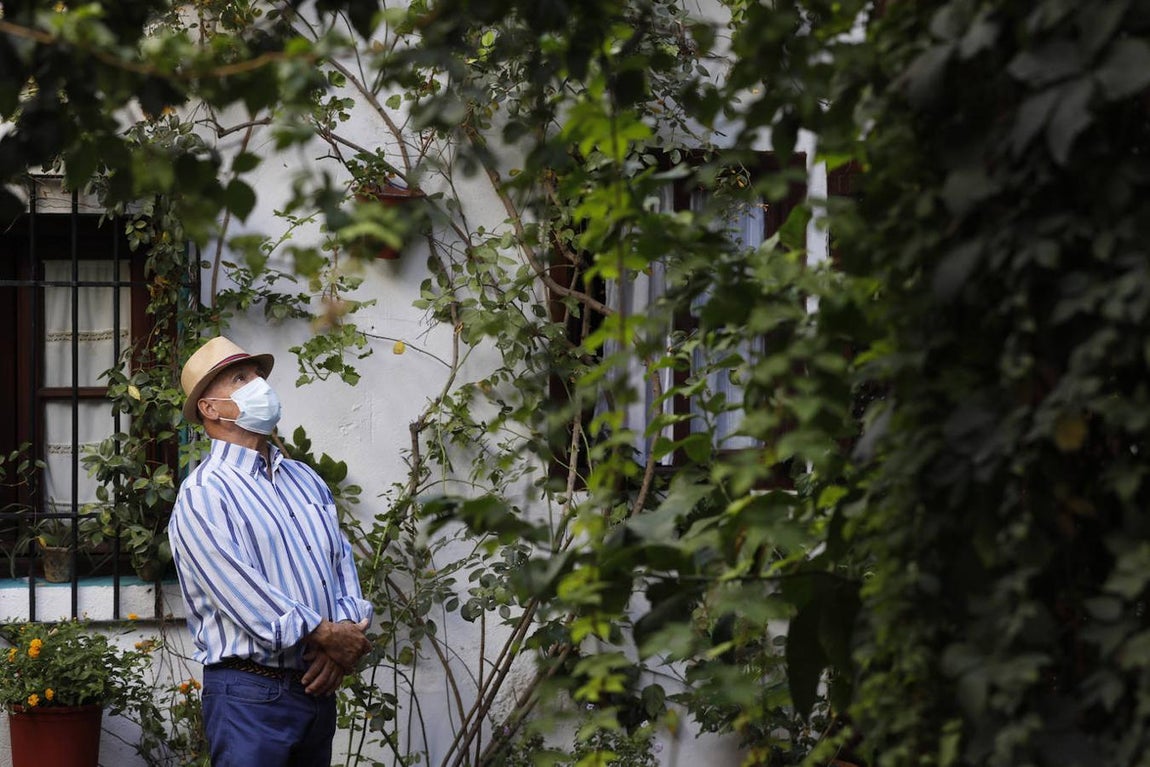 Los Patios de la Judería y San Francisco de Córdoba, en imágenes