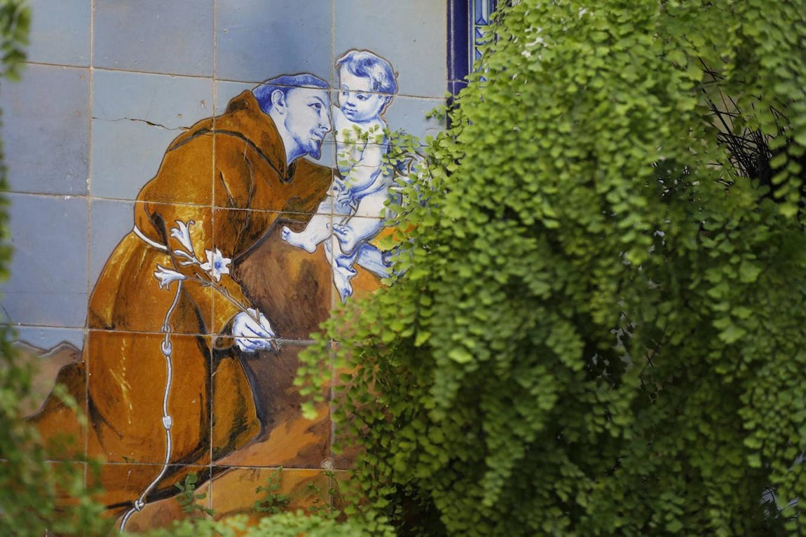 Los Patios de la Judería y San Francisco de Córdoba, en imágenes