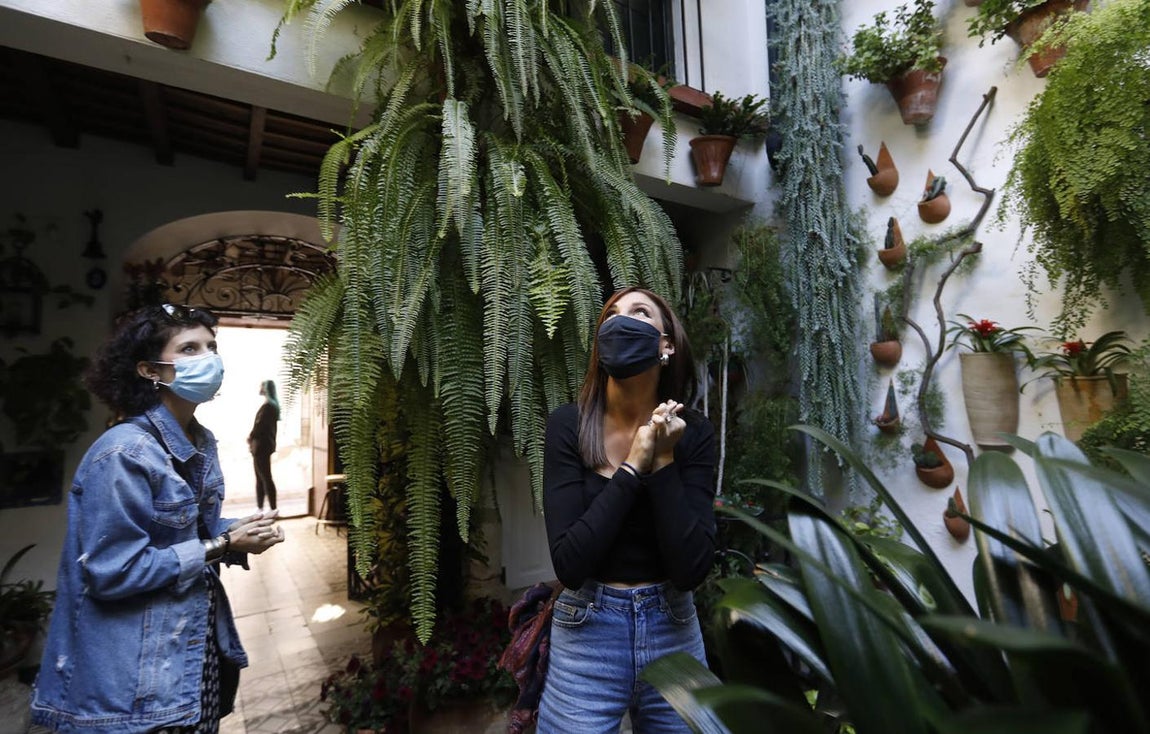 Los Patios de la Judería y San Francisco de Córdoba, en imágenes