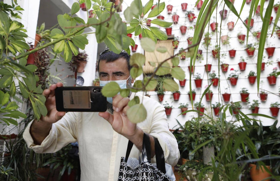 Los Patios de la Judería y San Francisco de Córdoba, en imágenes