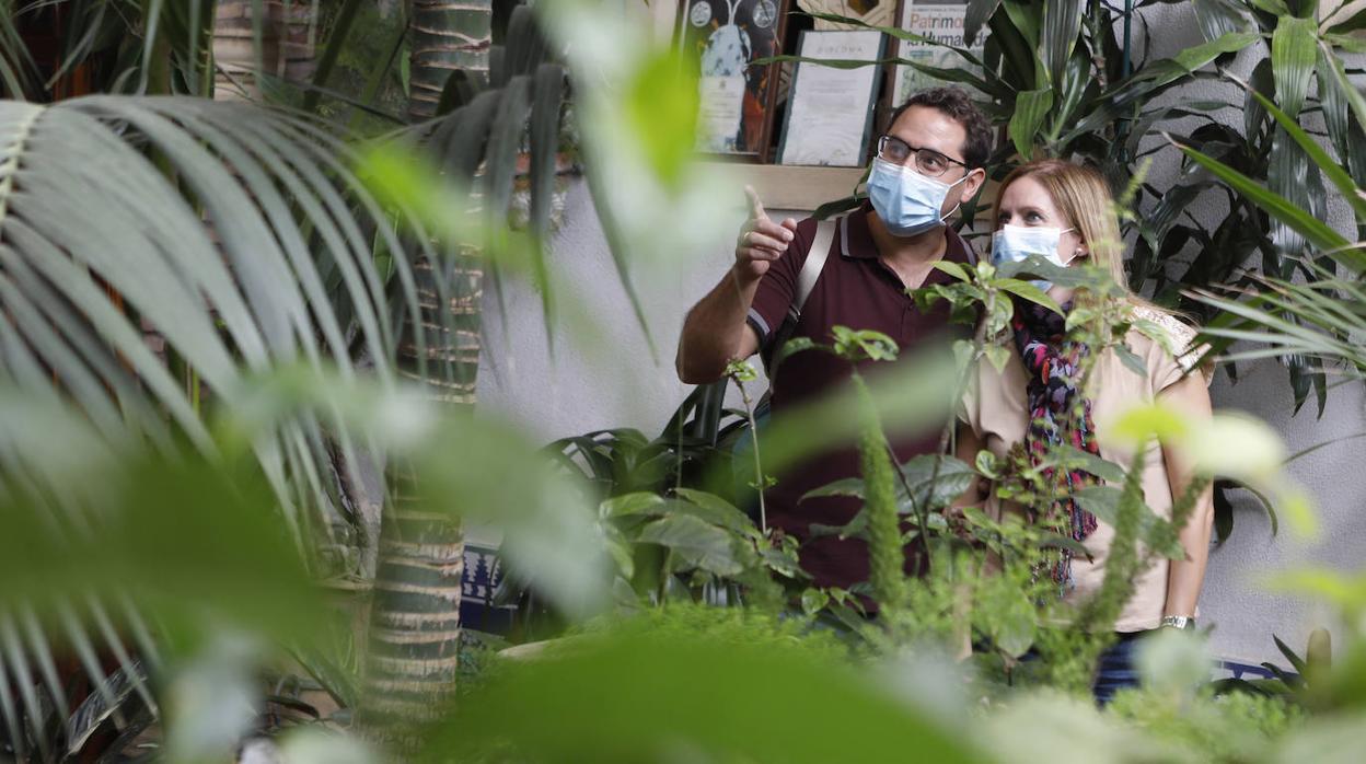 Los Patios de la Judería y San Francisco de Córdoba, en imágenes