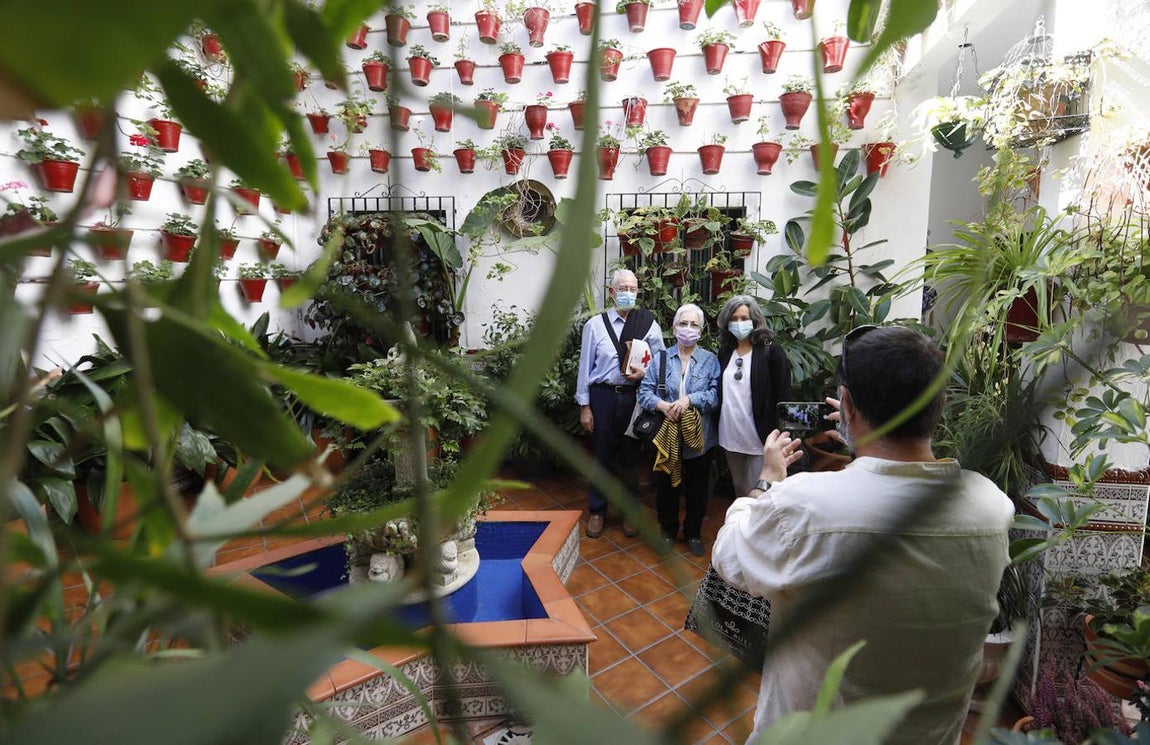 Los Patios de la Judería y San Francisco de Córdoba, en imágenes