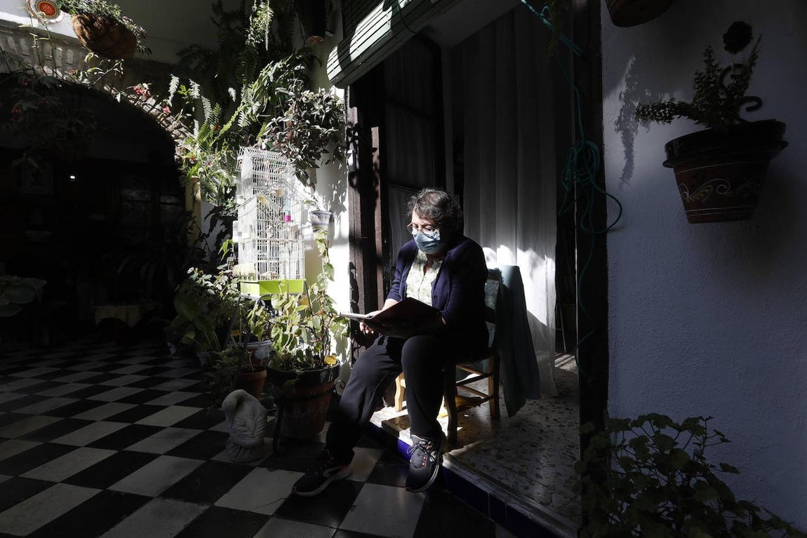 Los Patios de la Judería y San Francisco de Córdoba, en imágenes