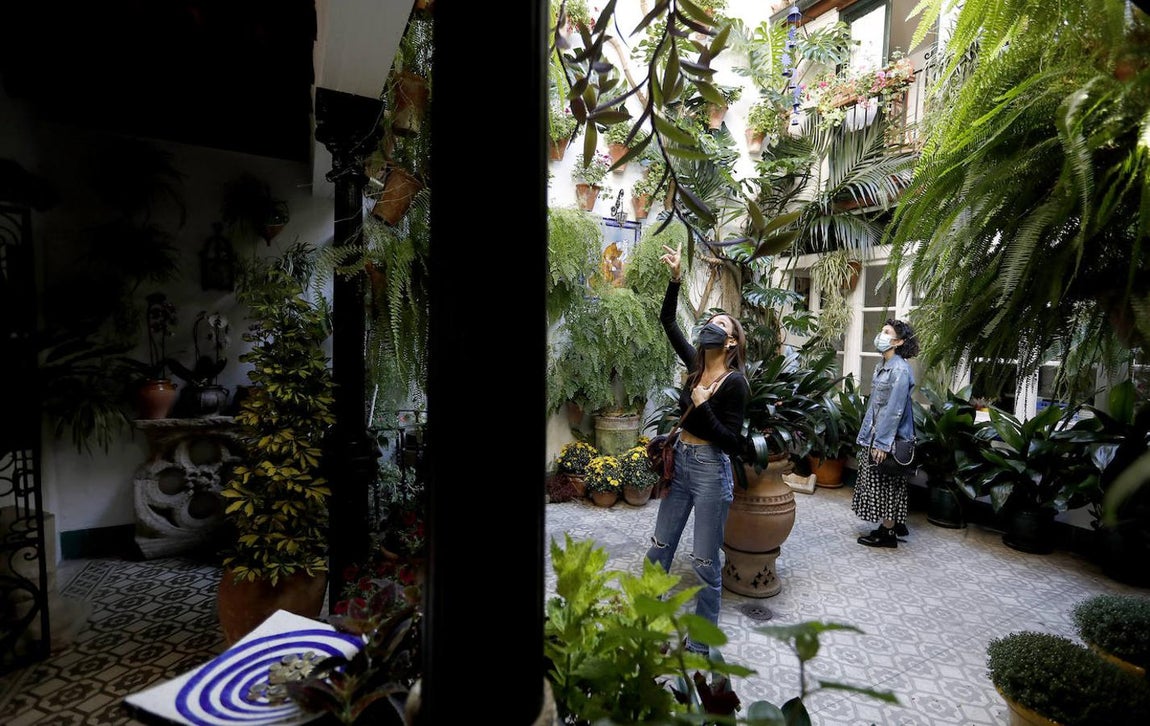 Los Patios de la Judería y San Francisco de Córdoba, en imágenes