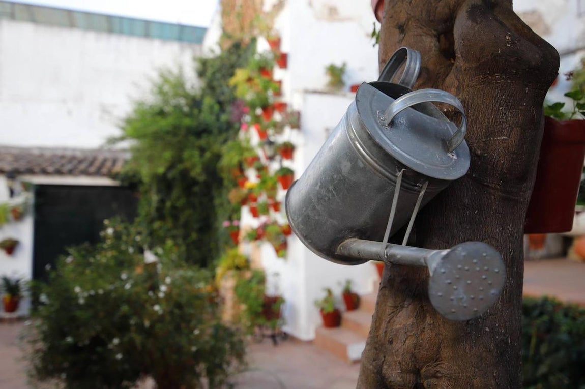 Patios de Córdoba 2020 | La ruta de Regina y el Realejo, en imágenes