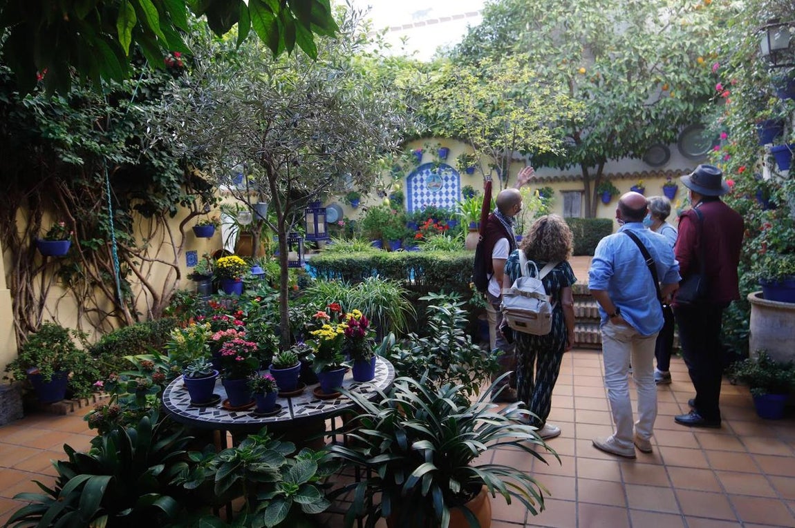 Patios de Córdoba 2020 | La ruta de Regina y el Realejo, en imágenes