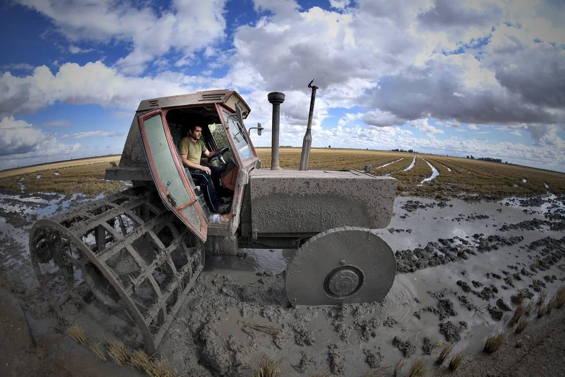 El fangueo deja impresionantes imágenes en Isla Mayor