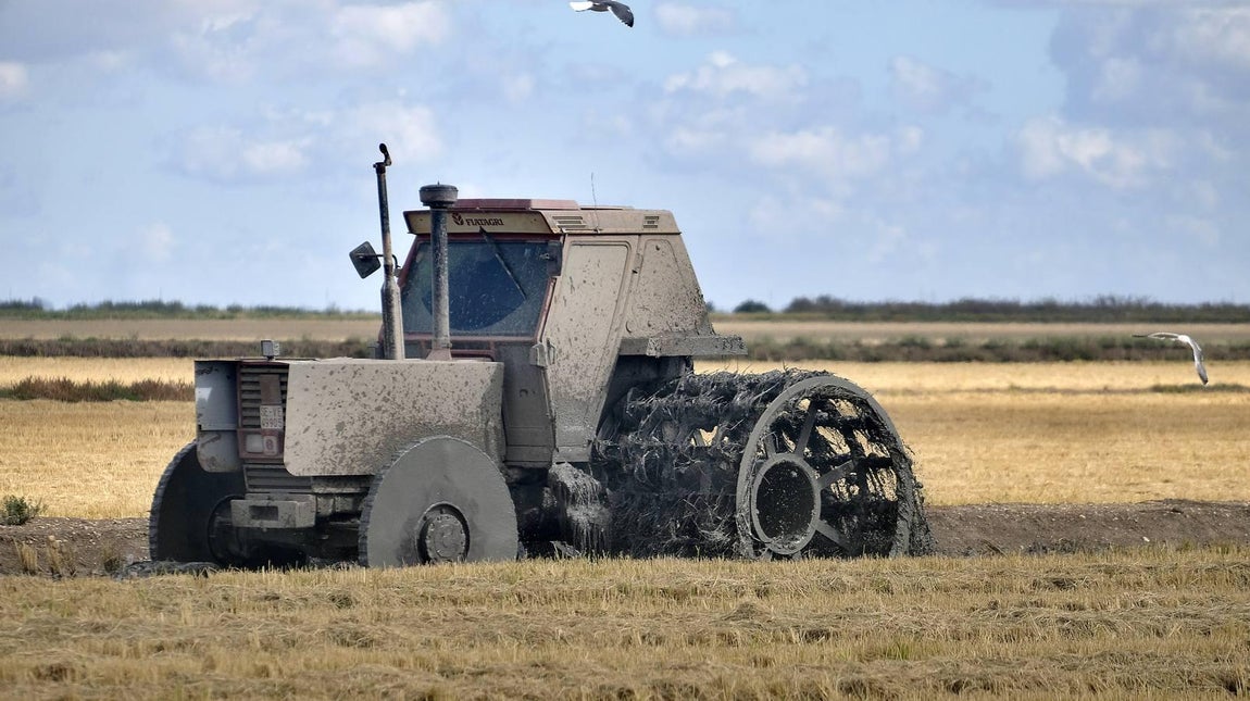El fangueo deja impresionantes imágenes en Isla Mayor
