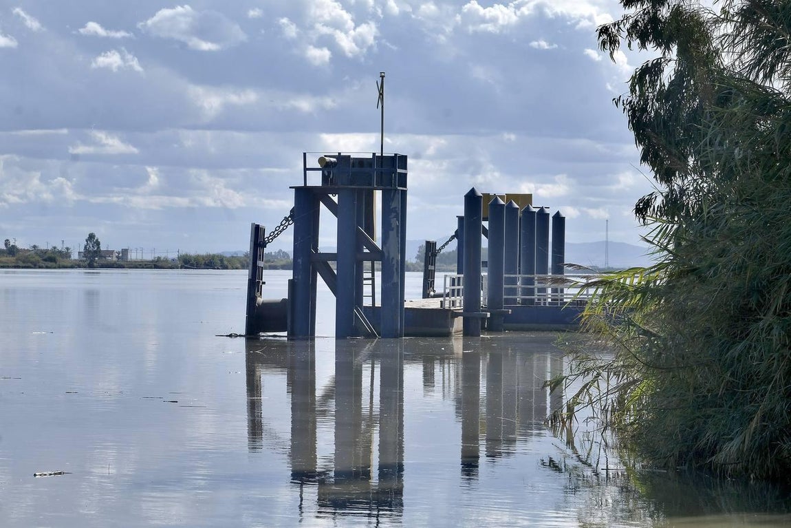 El fangueo deja impresionantes imágenes en Isla Mayor