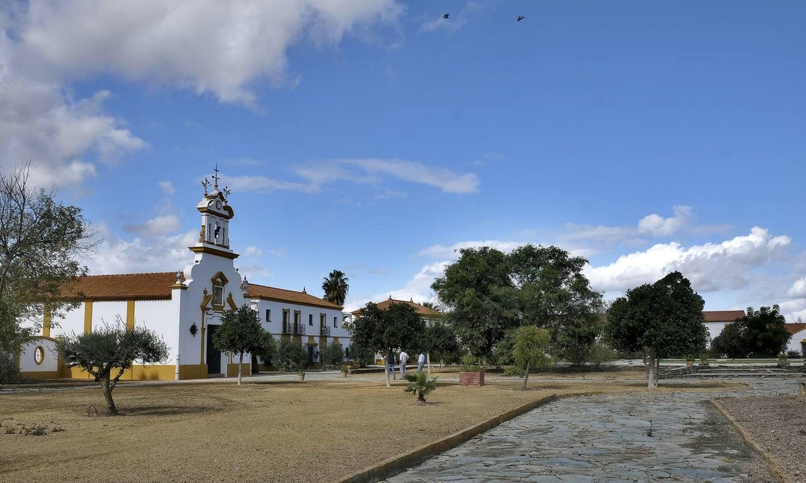 El fangueo deja impresionantes imágenes en Isla Mayor
