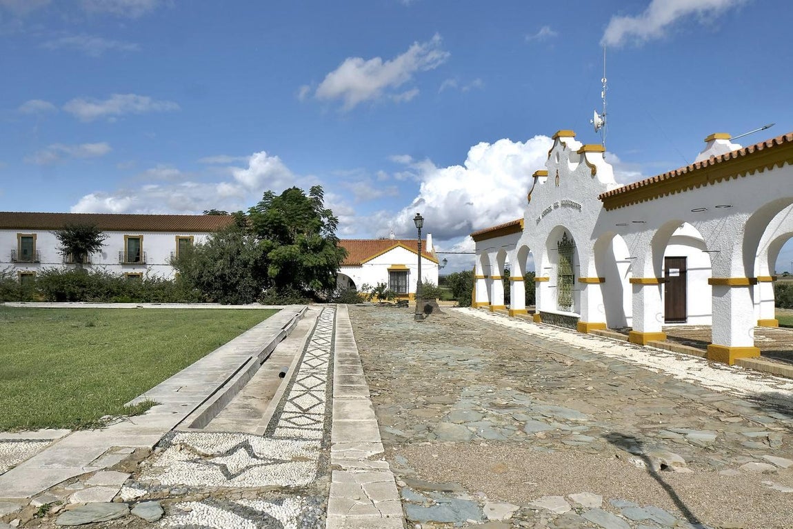 El fangueo deja impresionantes imágenes en Isla Mayor