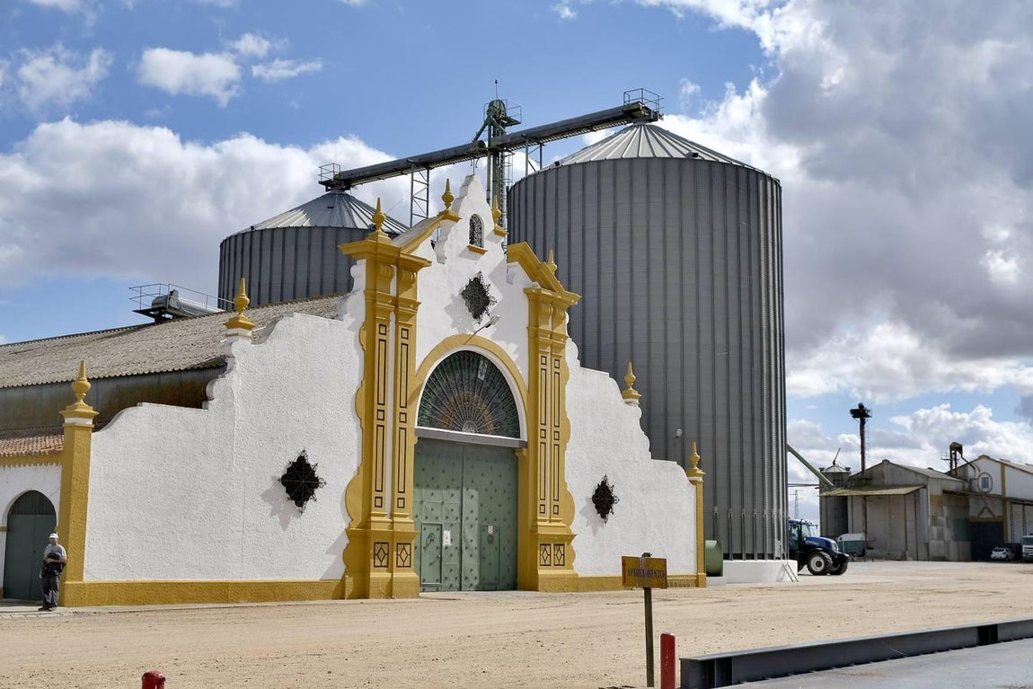 El fangueo deja impresionantes imágenes en Isla Mayor