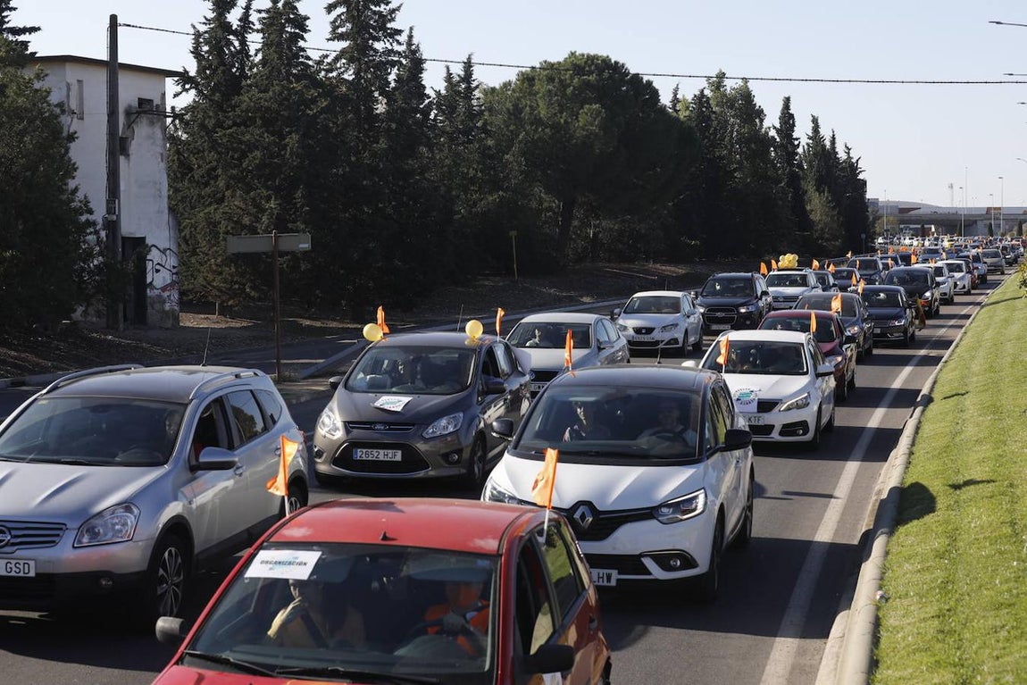 La protesta de la concertada contra la «Ley Celaá» en Córdoba, en imágenes