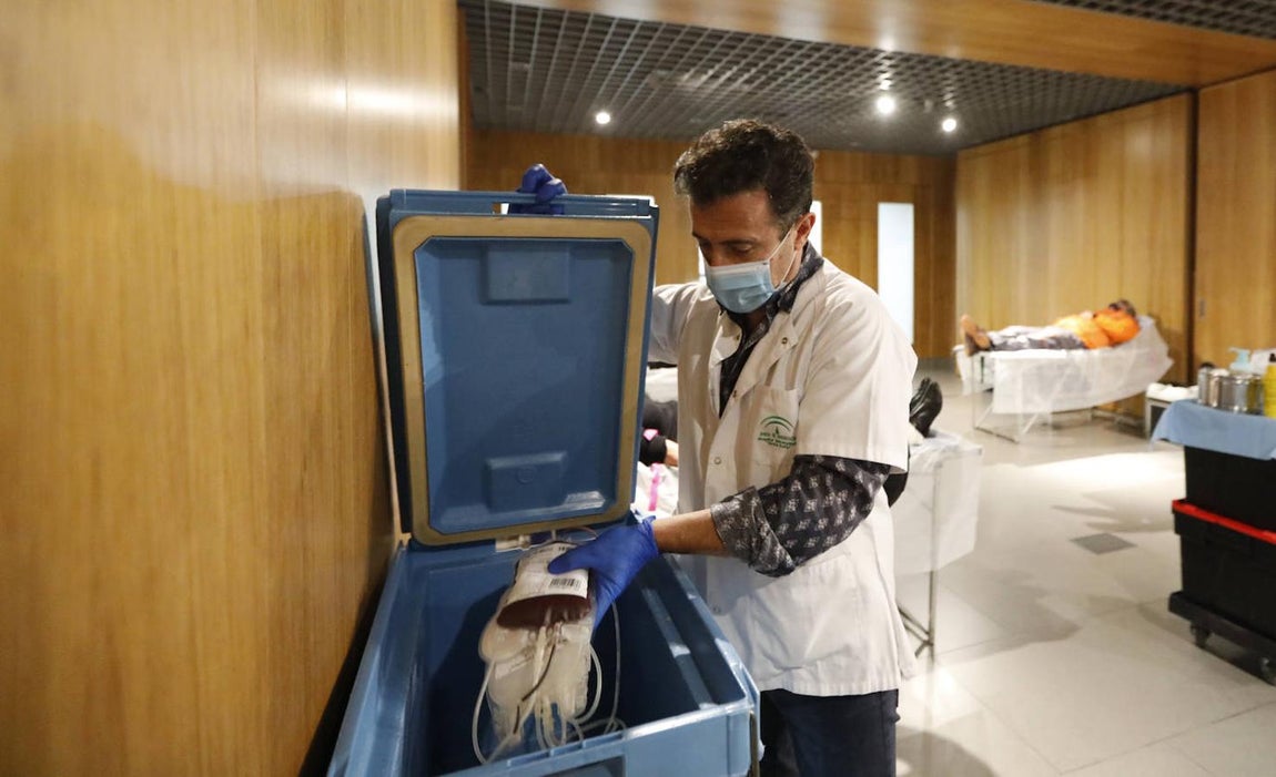 La donación de sangre en la Fundación Cajasol en Córdoba, en imágenes