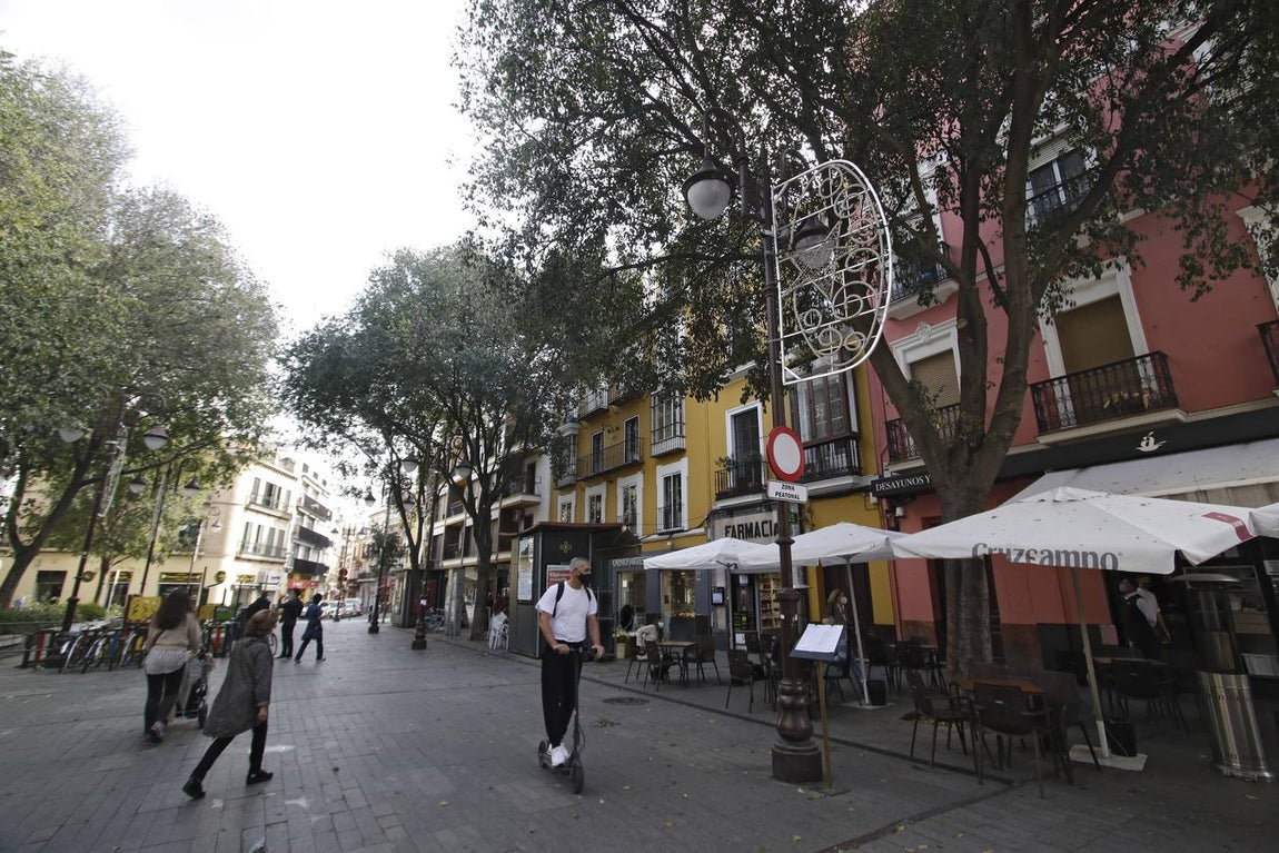 Fotogalería: El alumbrado navideño, listo para cobrar vida