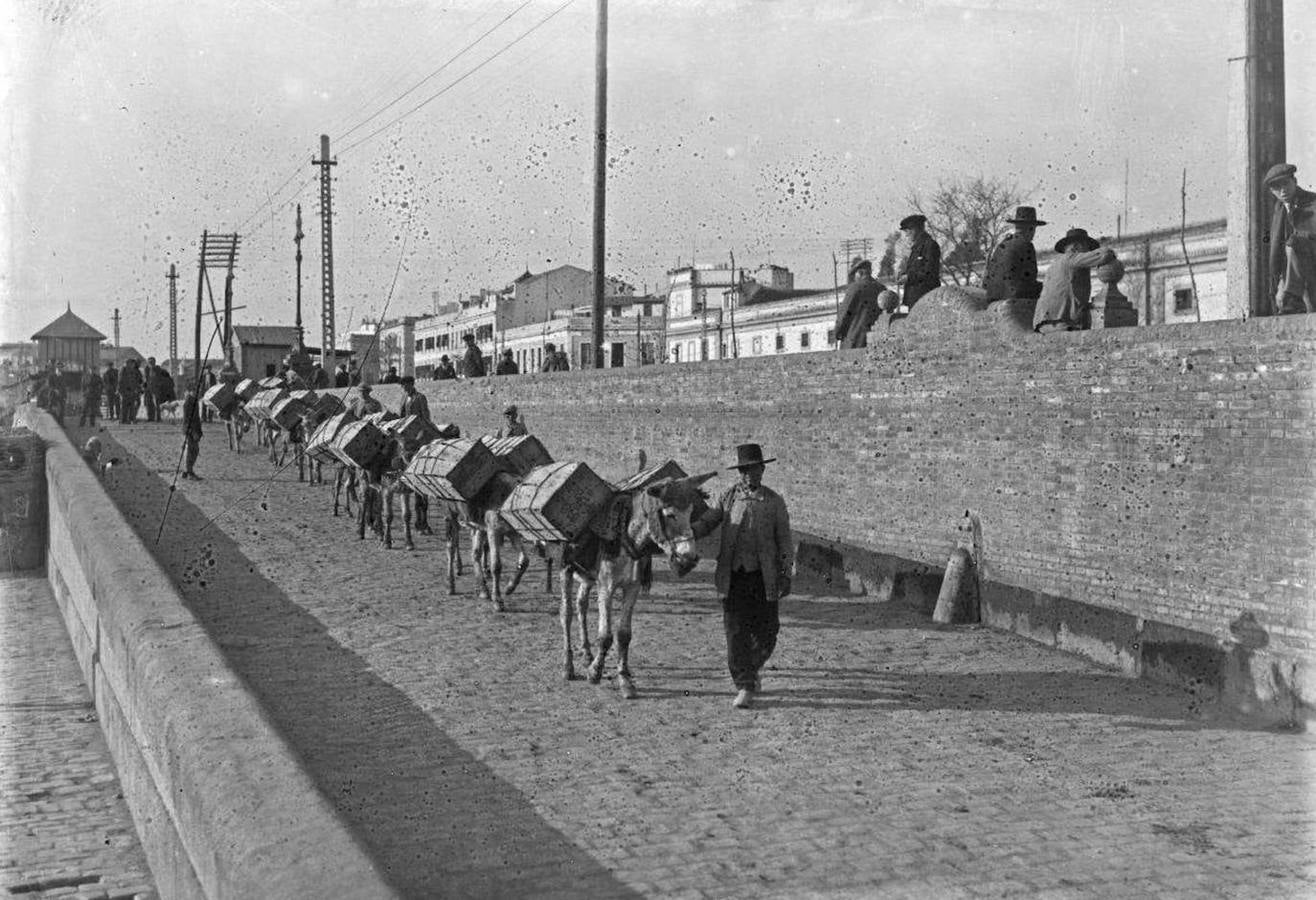 Fotos antiguas del Paseo de las Delicias