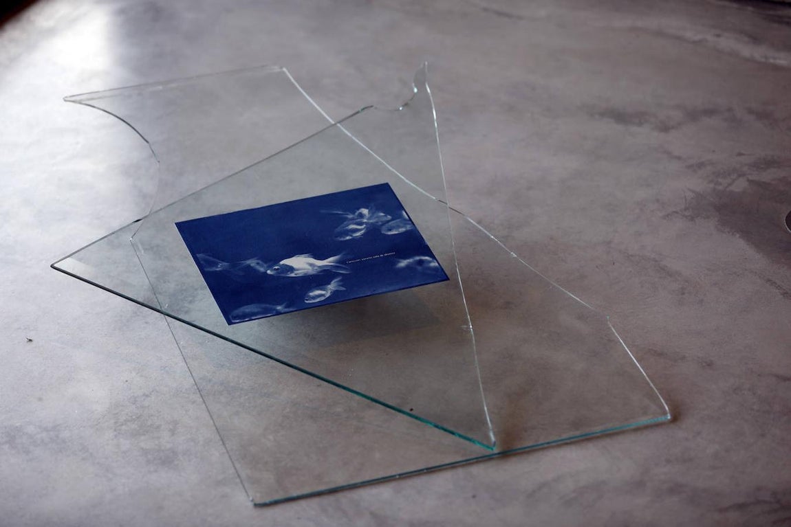 En imágenes, la exposición «Vivir juntos. Una apuesta en común de las distancias», en el C3A de Córdoba