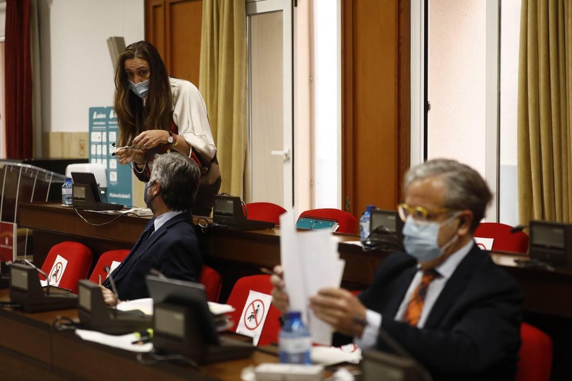 El Pleno de presupuestos de Córdoba, en imágenes