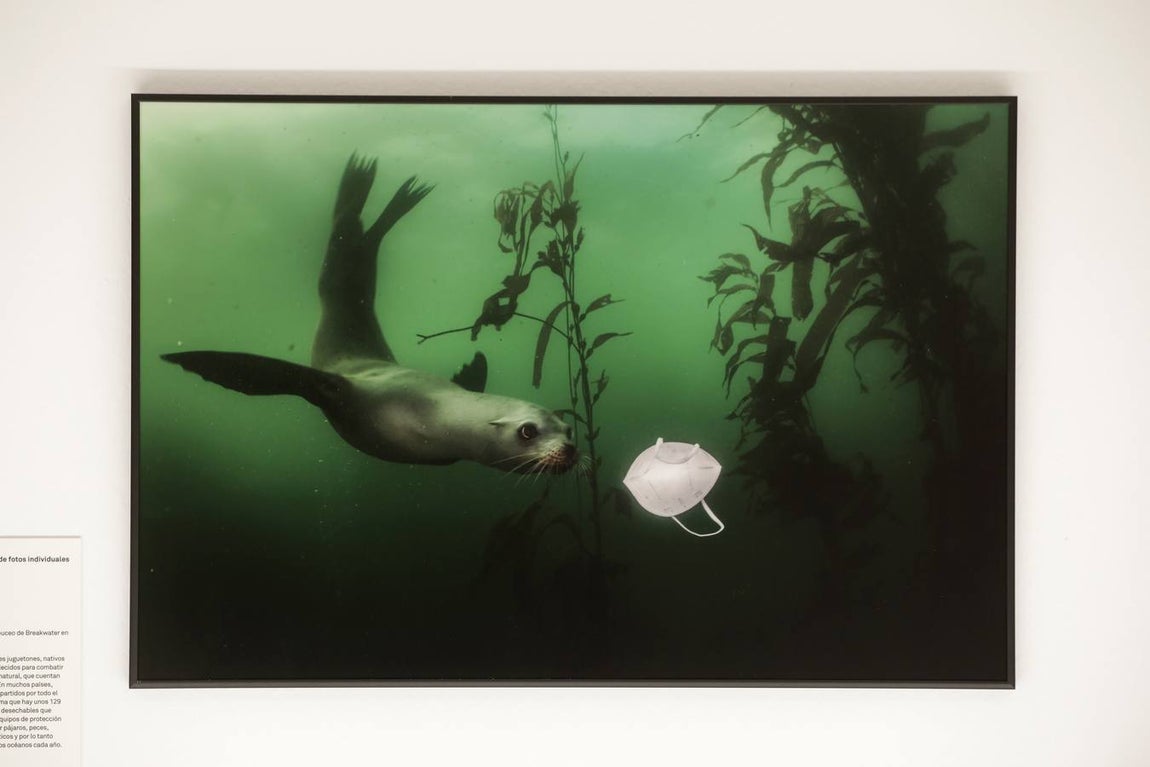 Inauguración de la exposición 'World Press Photo 2021'