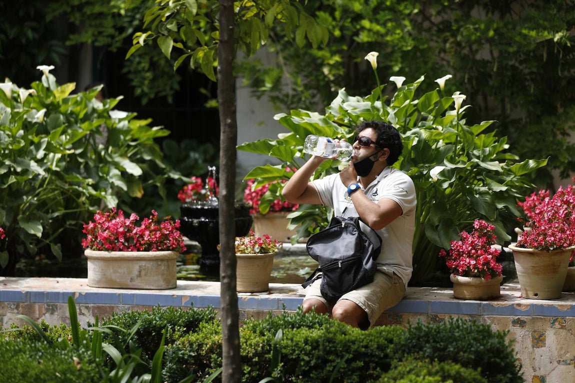 Patios de Córdoba 2021 | El Palacio de Viana, en imágenes