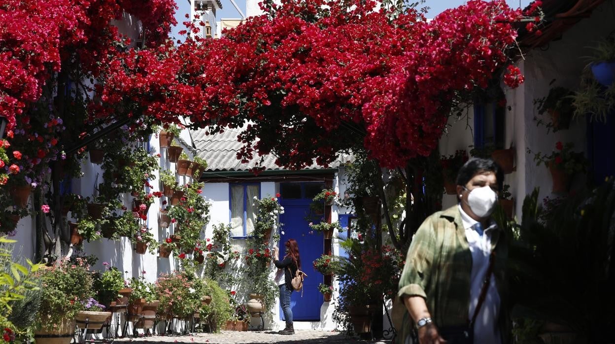 Patios de Córdoba 2021 | Marroquíes, 6, en imágenes