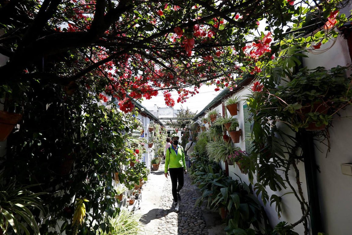 Patios de Córdoba 2021 | Marroquíes, 6, en imágenes
