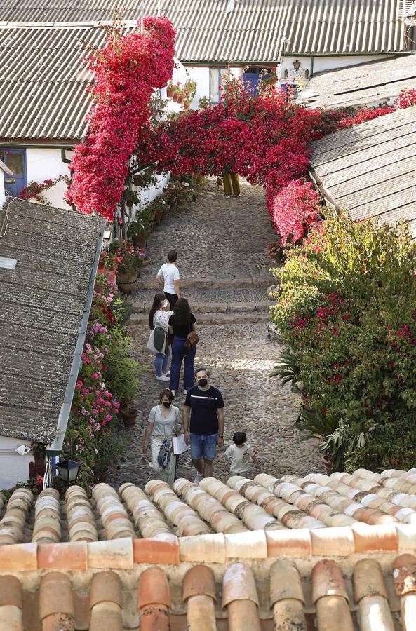 Patios de Córdoba 2021 | Marroquíes, 6, en imágenes