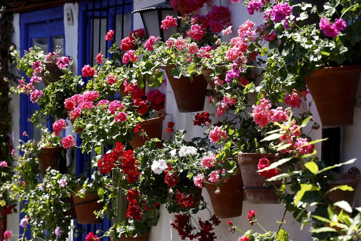 Patios de Córdoba 2021 | Marroquíes, 6, en imágenes