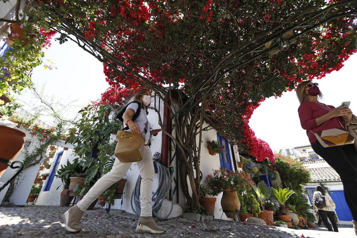 Patios de Córdoba 2021 | Marroquíes, 6, en imágenes