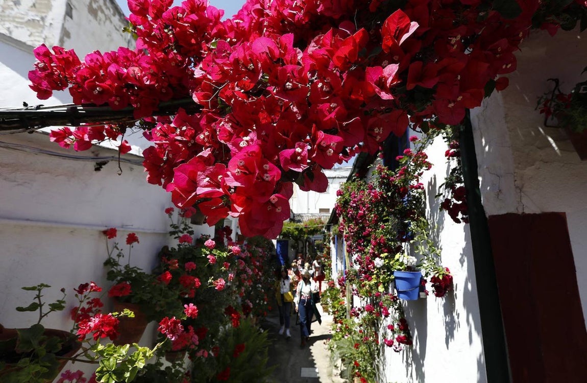 Patios de Córdoba 2021 | Marroquíes, 6, en imágenes