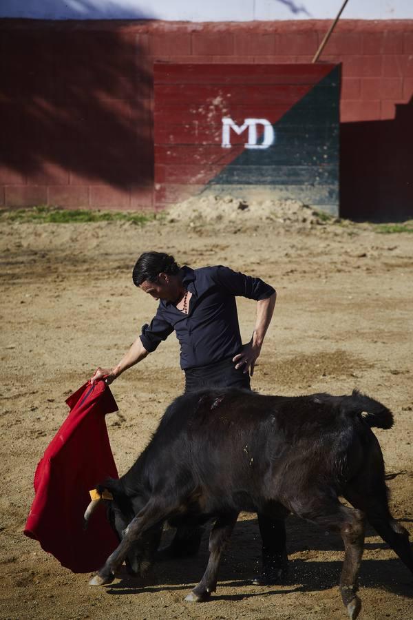 La preparación de Finito de Córdoba, en imágenes