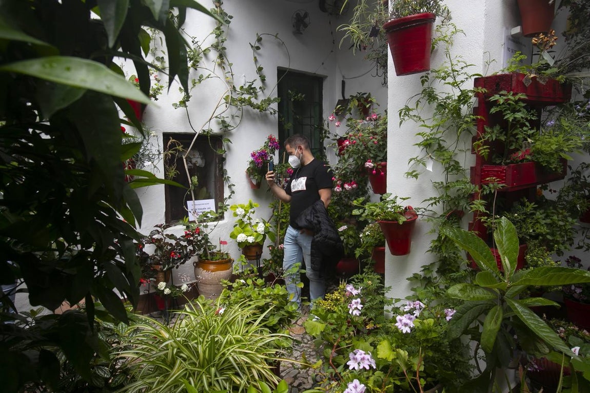 Los patios de San Lorenzo y San Agustín de Córdoba, en imágenes