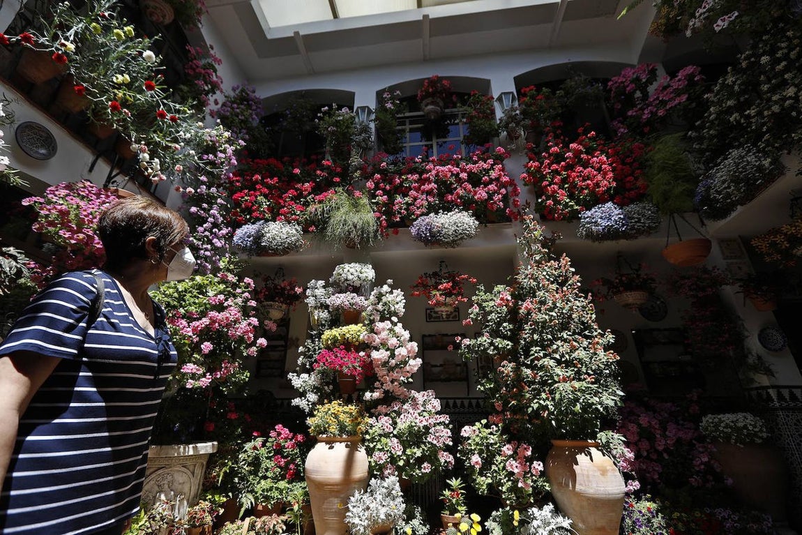 Patios de Córdoba 2021 | La ruta de San Agustín y Santa Marina, en imágenes