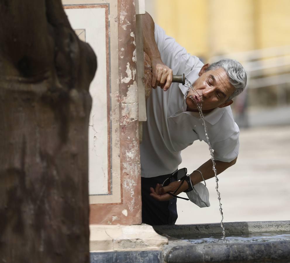 Córdoba llega ya a los 40 grados, en imágenes