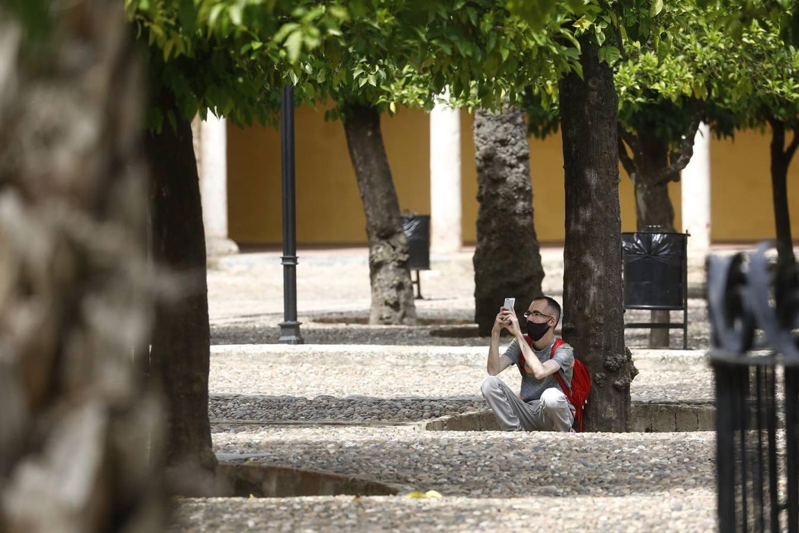 Córdoba llega ya a los 40 grados, en imágenes