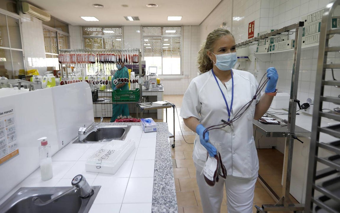 El trabajo en el Centro de Transfusión de Córdoba, en imágenes