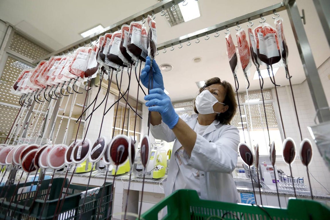 El trabajo en el Centro de Transfusión de Córdoba, en imágenes