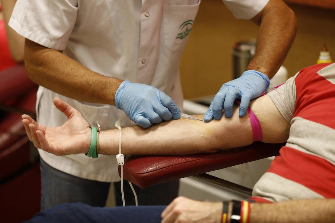 El trabajo en el Centro de Transfusión de Córdoba, en imágenes