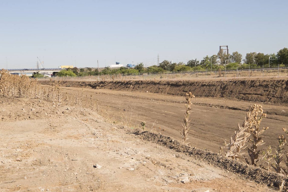 La promotora Metrovacesa ha puesto este jueves la primera piedra del nuevo barrio sevillano de Palmas Altas
