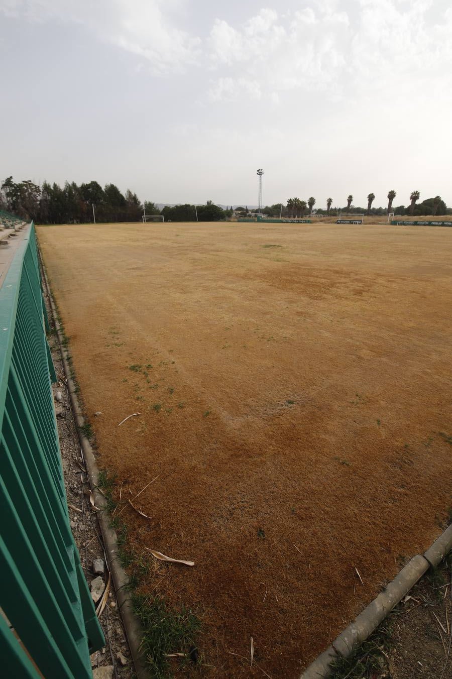 El mal estado de la Ciudad deportiva del Córdoba, en imágenes