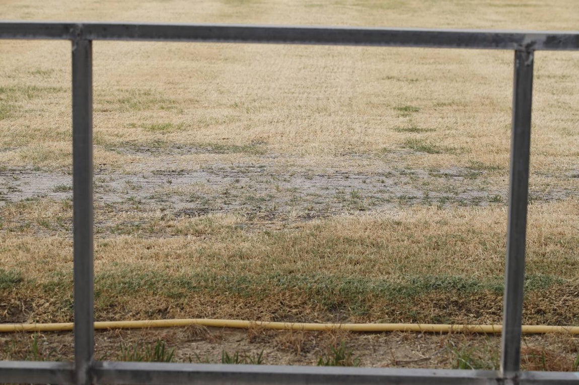 El mal estado de la Ciudad deportiva del Córdoba, en imágenes