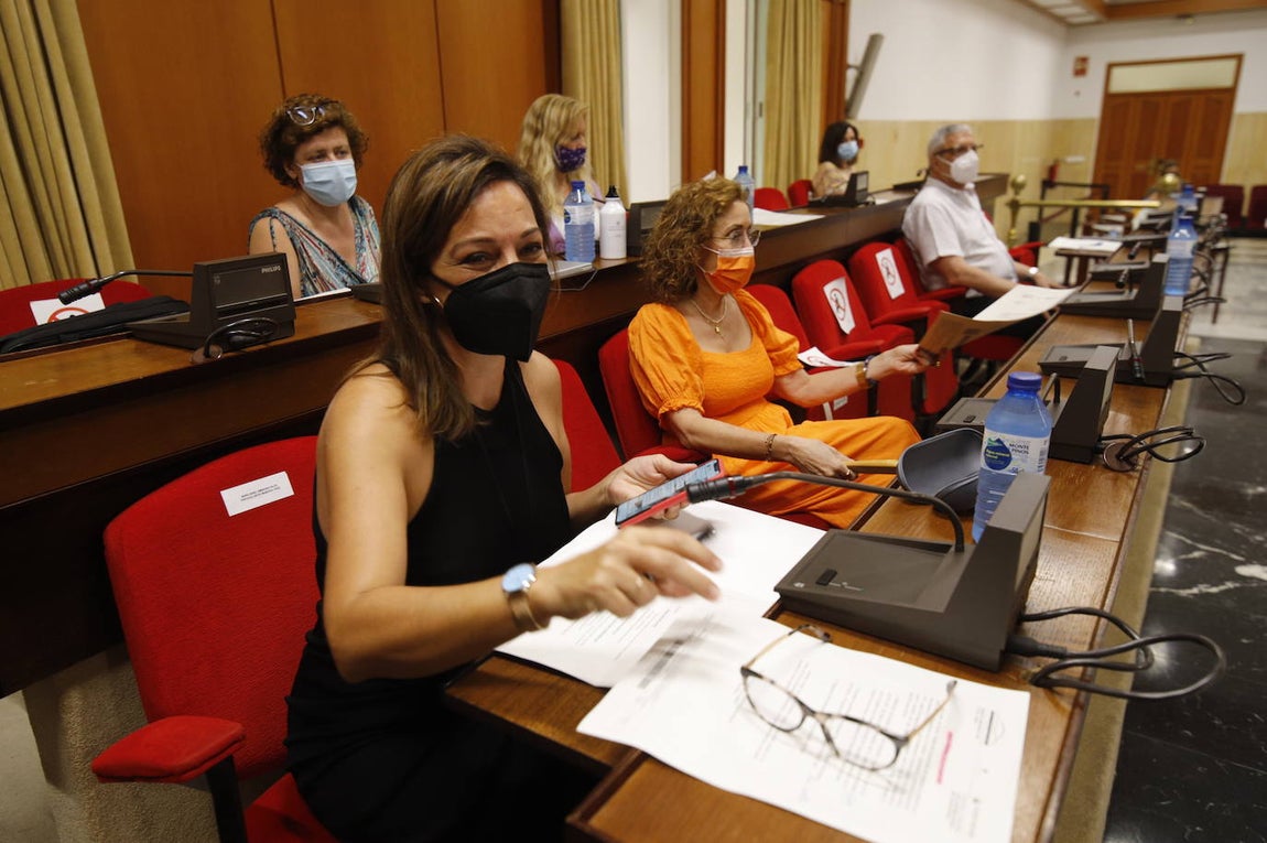 El último Pleno del Ayuntamiento de Córdoba del curso, en imágenes