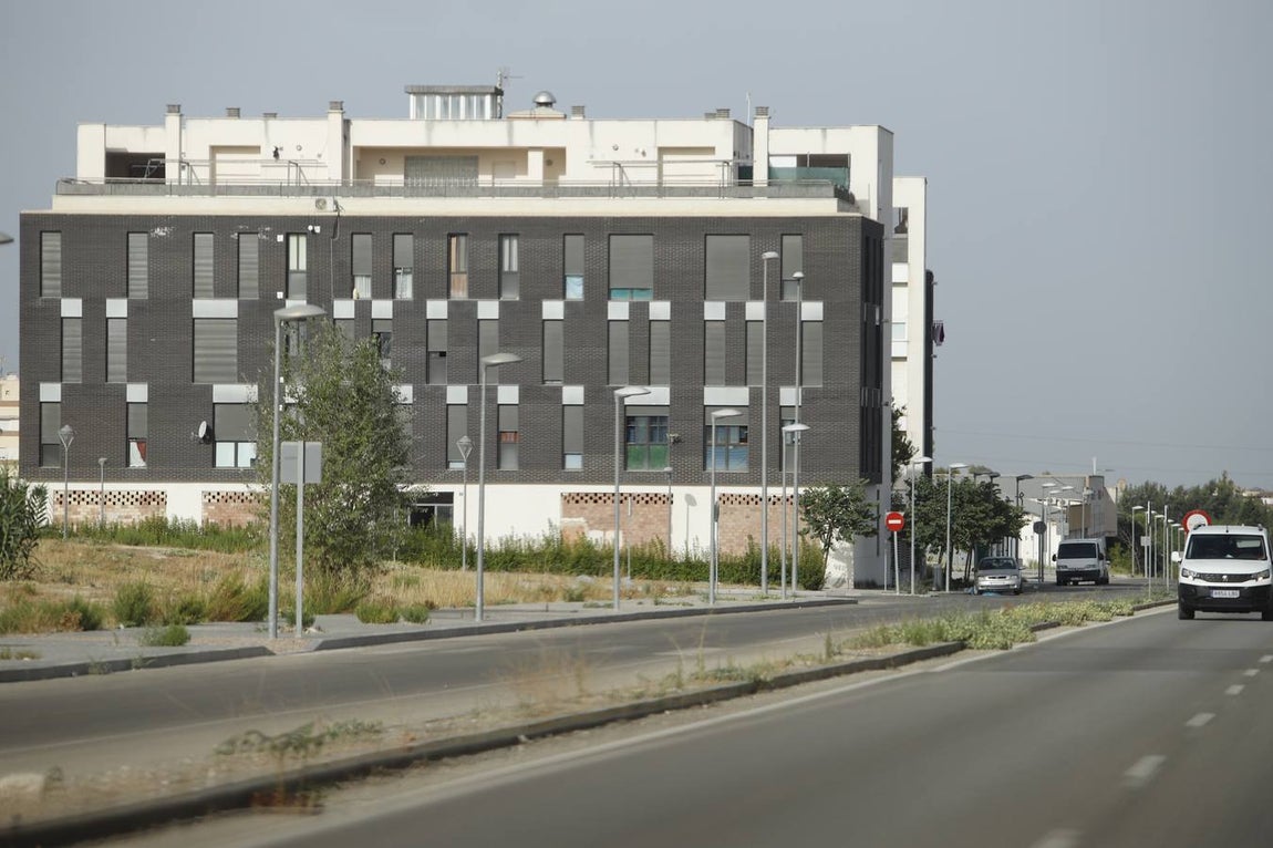 Perro mata niño en Lucena | En imágenes, el ambiente en una ciudad consternada