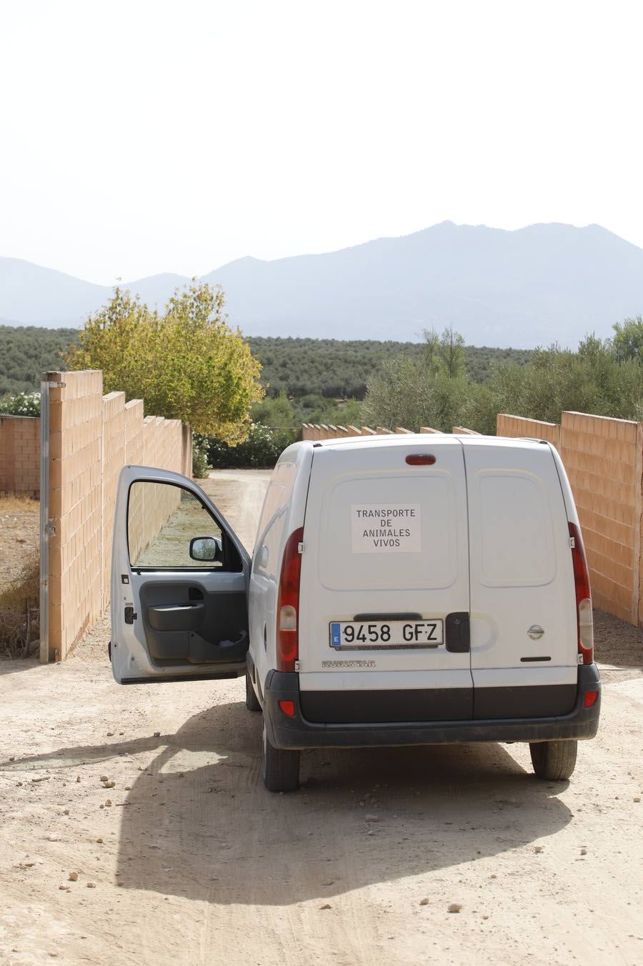 Perro mata niño en Lucena | En imágenes, el ambiente en una ciudad consternada