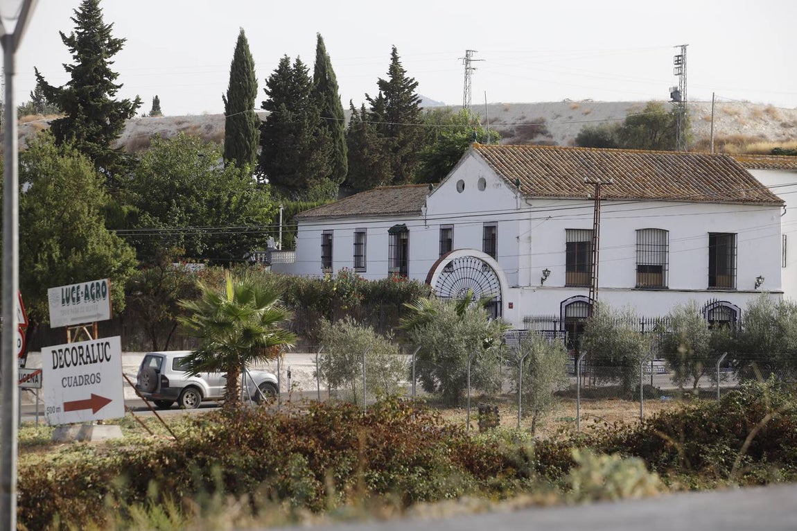 Perro mata niño en Lucena | En imágenes, el ambiente en una ciudad consternada