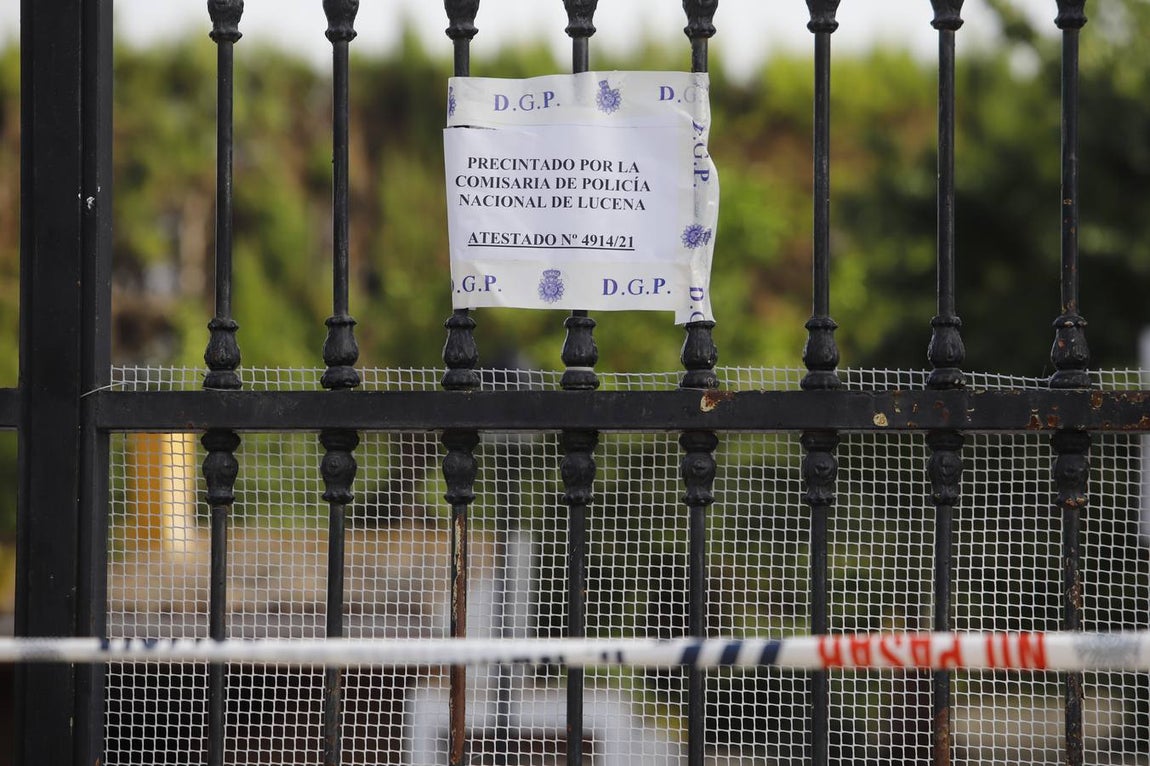 Perro mata niño en Lucena | En imágenes, el ambiente en una ciudad consternada