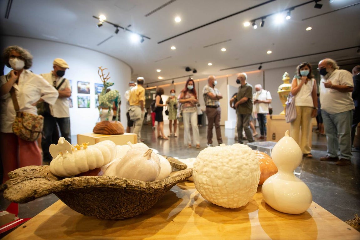 Inauguración de la exposición 'Ars Natura' en la Sala Antiquarium