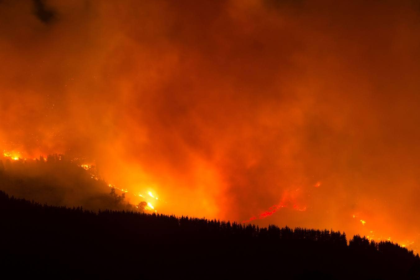 El incendio de Sierra Bermeja queda controlado con la llegada de la lluvia tras calcinar casi 10.000 hectáreas