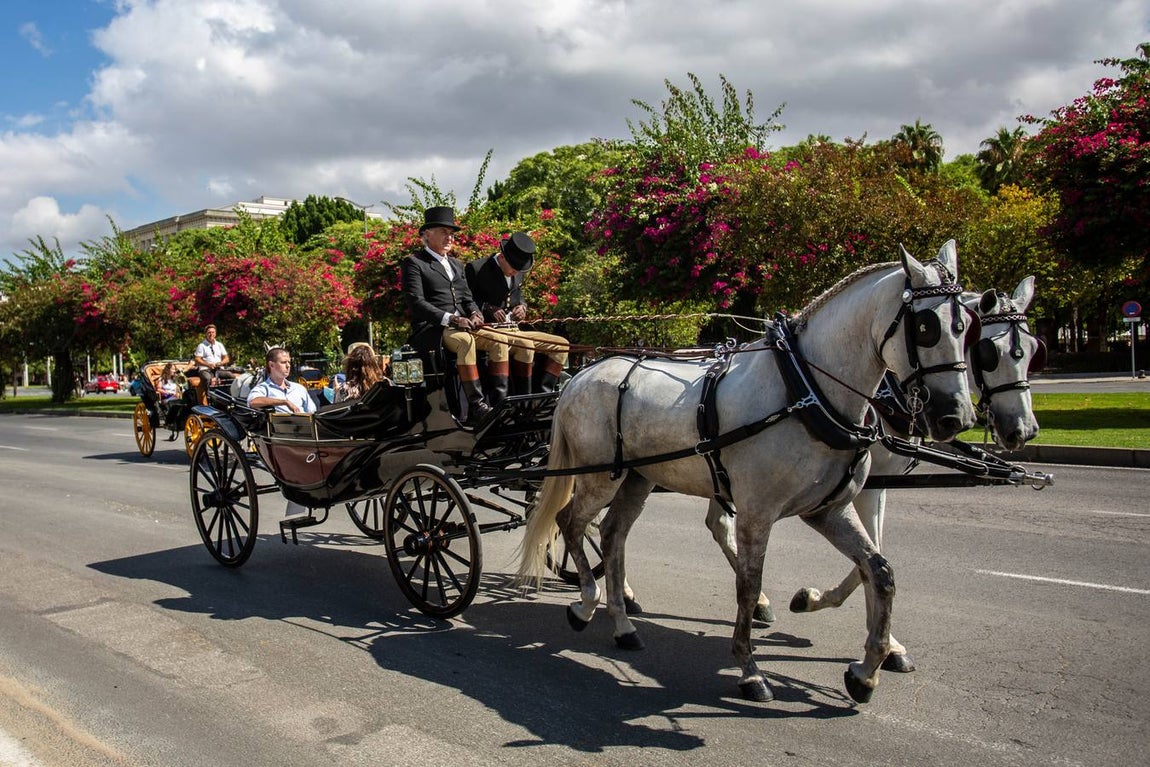 Paseo de carruajes por las calles de Sevilla